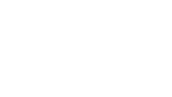 FS-white-transparent.png